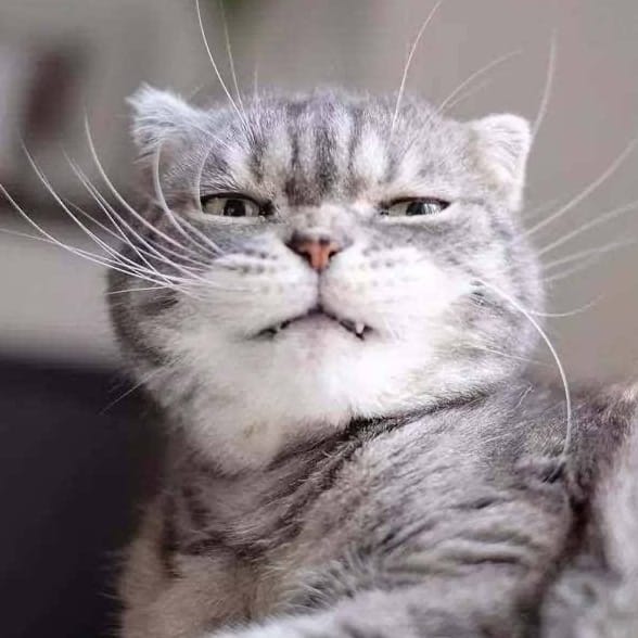 我是搬运工的头像 | SeekSEM