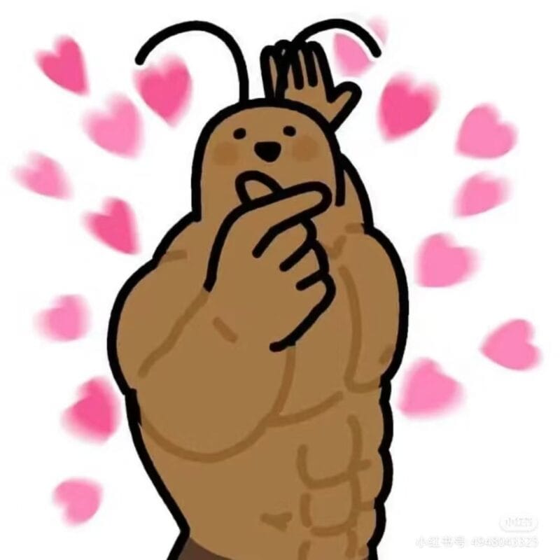 斑斑的头像 | SeekSEM