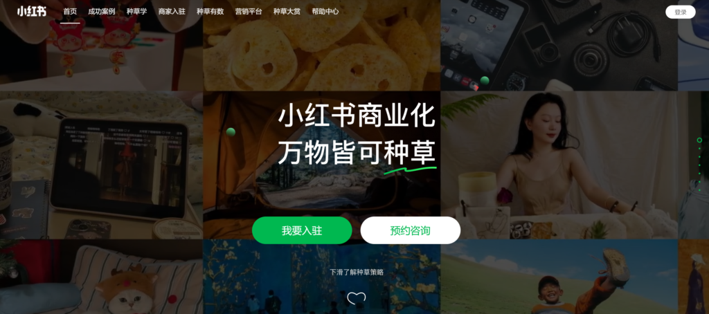 各国本土广告投放平台介绍 | SeekSEM 20250211003242734-image