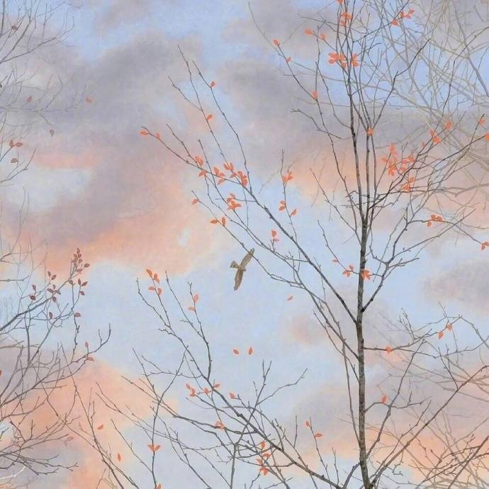 签放在怀里的头像 | SeekSEM